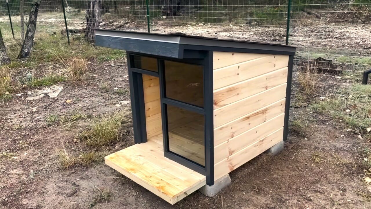 Dog House Finished